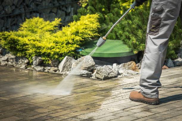 Boat and Dock Cleaning in Laurel Park, NC